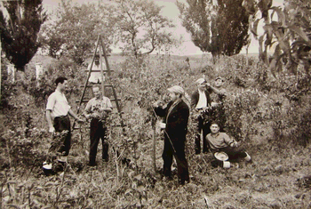 finca Florenza, Lleida (1959-09-30)