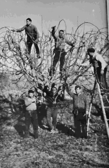 finca Alejos, Tamarite (1959-12-30)