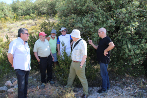 Peralta de Calasanz parque geologico y salinar reunion junio 2019 articulo mina purroy