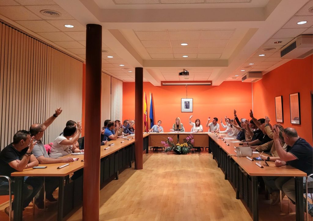 Imagen del Pleno Consejo Comarcal