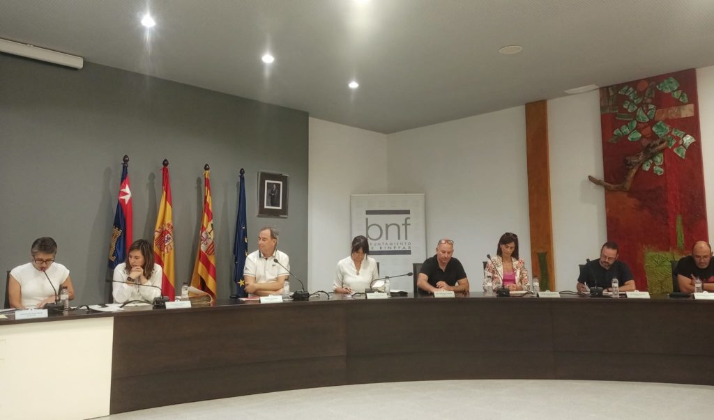 Imagen del último pleno