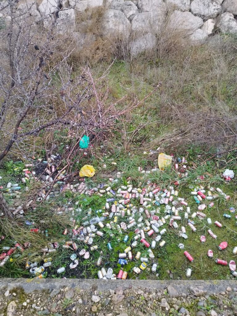 Suciedad binefar limpieza viaria (1)