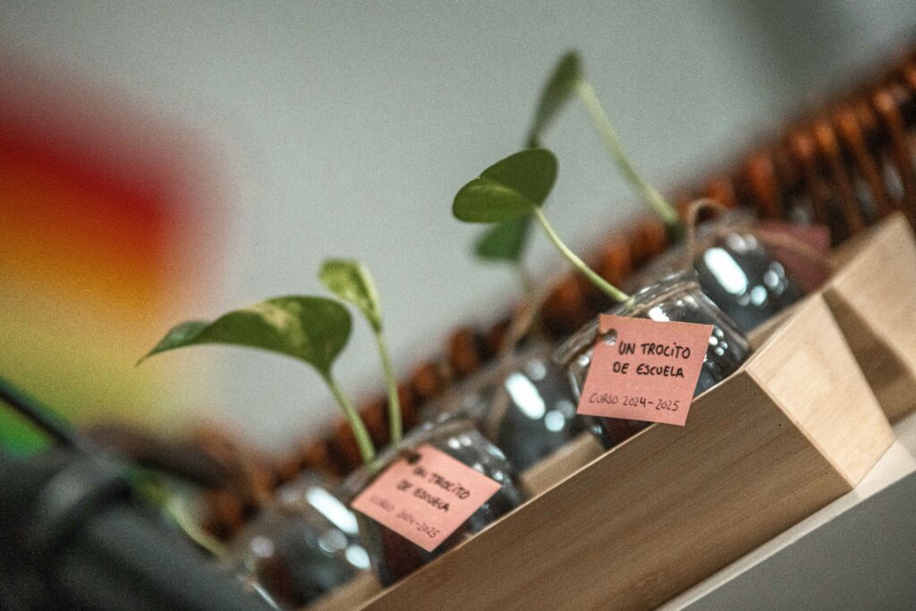 04 07 2025 Fiesta fin de curso escuela muncipal el pi altorricon 1